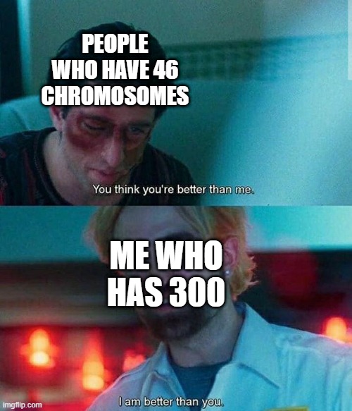 Im better than you | PEOPLE WHO HAVE 46 CHROMOSOMES; ME WHO HAS 300 | image tagged in im better than you,i'm 16 so don't try it,who reads these | made w/ Imgflip meme maker
