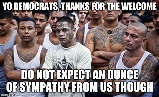 We are not here to pick oranges | YO DEMOCRATS, THANKS FOR THE WELCOME; DO NOT EXPECT AN OUNCE OF SYMPATHY FROM US THOUGH | image tagged in ms13 family pic,we are not here to pick oranges,democrat criminals,democrats own violent crime,border crisis,no quarter | made w/ Imgflip meme maker