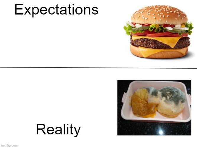 Good Burger Vs. Moldy Burger | Expectations; Reality | image tagged in good burger vs moldy burger | made w/ Imgflip meme maker