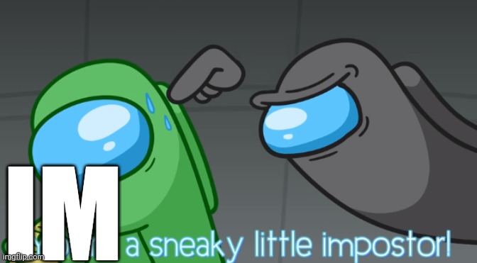 You're a sneaky little imposter | IM | image tagged in you're a sneaky little imposter | made w/ Imgflip meme maker