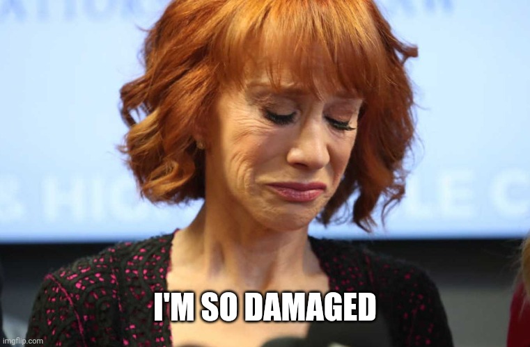 Kathy Griffin Crying | I'M SO DAMAGED | image tagged in kathy griffin crying | made w/ Imgflip meme maker