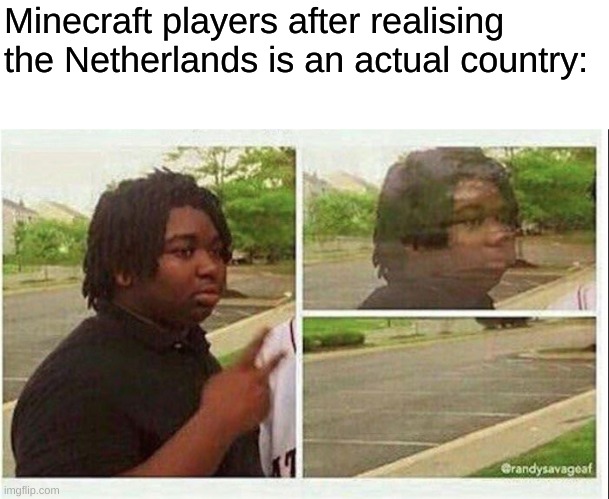 The Nether |  Minecraft players after realising the Netherlands is an actual country: | image tagged in black guy disappearing | made w/ Imgflip meme maker