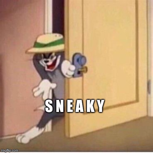 S N E A K Y | image tagged in s n e a k y | made w/ Imgflip meme maker