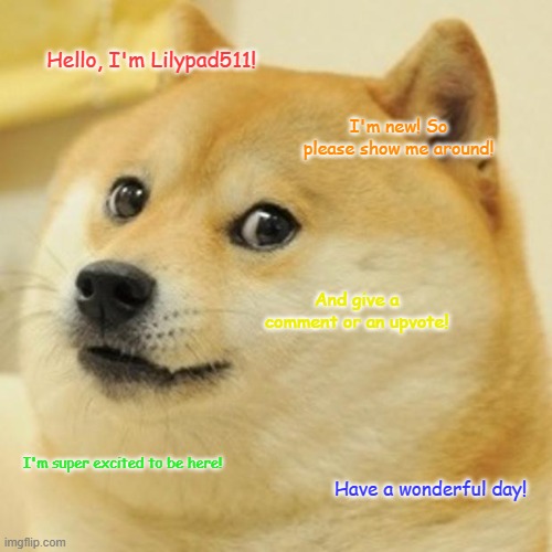 Welcome! | Hello, I'm Lilypad511! I'm new! So please show me around! And give a comment or an upvote! I'm super excited to be here! Have a wonderful day! | image tagged in memes,doge,im new | made w/ Imgflip meme maker