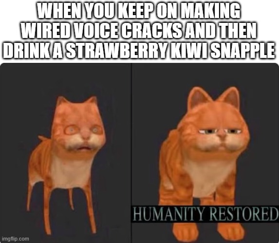 humanity restored | WHEN YOU KEEP ON MAKING WIRED VOICE CRACKS AND THEN DRINK A STRAWBERRY KIWI SNAPPLE | image tagged in humanity restored | made w/ Imgflip meme maker
