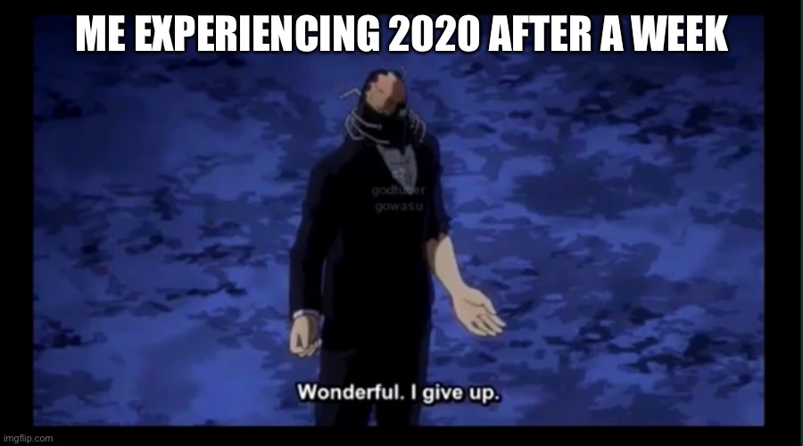 Wonderful I give up | ME EXPERIENCING 2020 AFTER A WEEK | image tagged in wonderful i give up | made w/ Imgflip meme maker