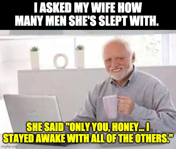 Slept with | I ASKED MY WIFE HOW MANY MEN SHE'S SLEPT WITH. SHE SAID "ONLY YOU, HONEY... I STAYED AWAKE WITH ALL OF THE OTHERS." | image tagged in harold | made w/ Imgflip meme maker