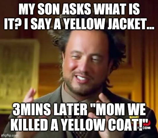 Ancient Aliens Meme | MY SON ASKS WHAT IS IT? I SAY A YELLOW JACKET... 3MINS LATER "MOM WE KILLED A YELLOW COAT!" | image tagged in memes,ancient aliens | made w/ Imgflip meme maker