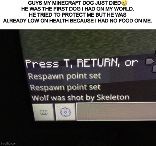 GUYS MY MINECRAFT DOG JUST DIED😢 HE WAS THE FIRST DOG I HAD ON MY WORLD. HE TRIED TO PROTECT ME BUT HE WAS ALREADY LOW ON HEALTH BECAUSE I HAD NO FOOD ON ME. | image tagged in sad,minecraft,dog,dogs | made w/ Imgflip meme maker