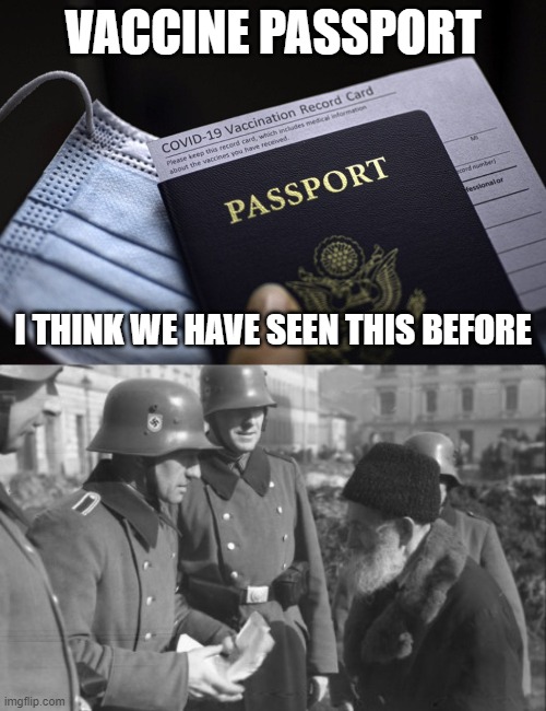 VACCINE PASSPORT; I THINK WE HAVE SEEN THIS BEFORE | image tagged in vaccine,passport,nazi | made w/ Imgflip meme maker
