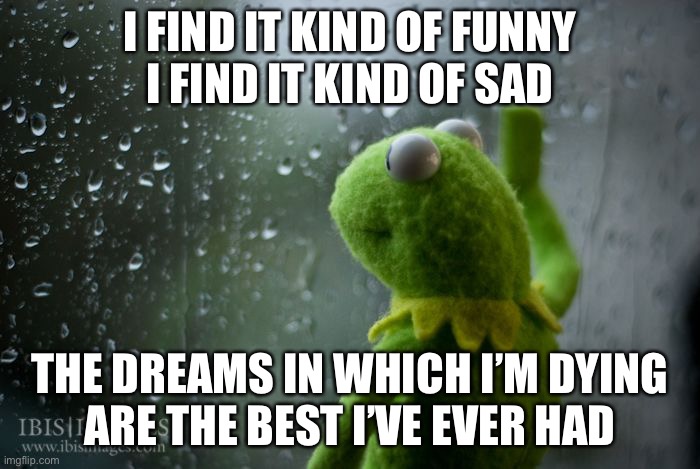 kermit window | I FIND IT KIND OF FUNNY
I FIND IT KIND OF SAD; THE DREAMS IN WHICH I’M DYING
ARE THE BEST I’VE EVER HAD | image tagged in kermit window | made w/ Imgflip meme maker