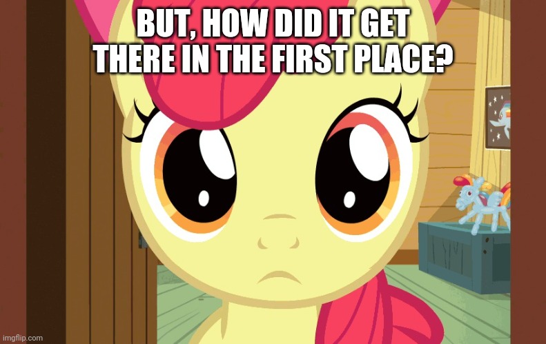Confused Applebloom (MLP) | BUT, HOW DID IT GET THERE IN THE FIRST PLACE? | image tagged in confused applebloom mlp | made w/ Imgflip meme maker