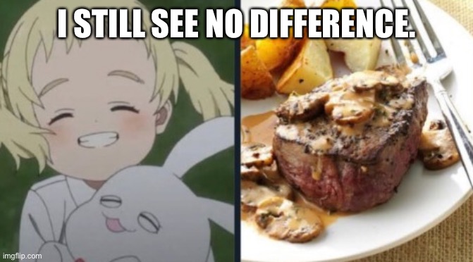 I STILL SEE NO DIFFERENCE. | image tagged in o | made w/ Imgflip meme maker