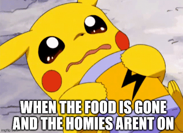 sad pikachu |  WHEN THE FOOD IS GONE AND THE HOMIES ARENT ON | image tagged in sad pikachu | made w/ Imgflip meme maker