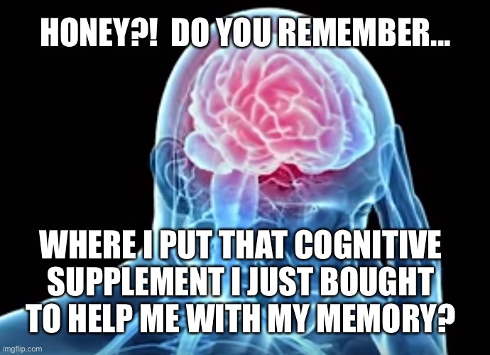 Brain Supplement | HONEY?!  DO YOU REMEMBER... WHERE I PUT THAT COGNITIVE SUPPLEMENT I JUST BOUGHT TO HELP ME WITH MY MEMORY? | image tagged in brain,memory,supplements,forgetful | made w/ Imgflip meme maker