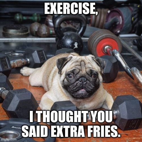 pug exercise | EXERCISE, I THOUGHT YOU SAID EXTRA FRIES. | image tagged in pug,animals,exercise,memes,funny | made w/ Imgflip meme maker