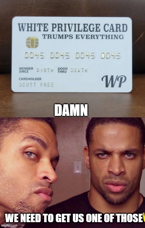 YOU JUST NEED THE CARD | DAMN; WE NEED TO GET US ONE OF THOSE | image tagged in hodge twins,white privilege | made w/ Imgflip meme maker