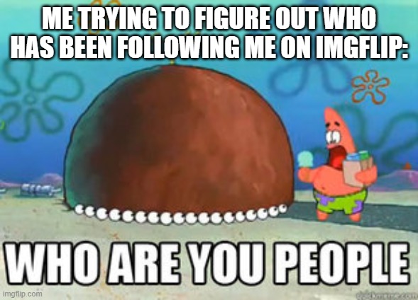 Who are you people?! | ME TRYING TO FIGURE OUT WHO HAS BEEN FOLLOWING ME ON IMGFLIP: | image tagged in who are you people,followers | made w/ Imgflip meme maker