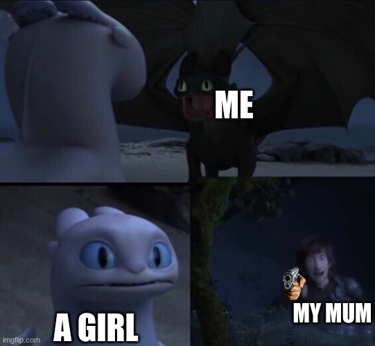 How to train your dragon 3 | ME; MY MUM; A GIRL | image tagged in how to train your dragon 3 | made w/ Imgflip meme maker