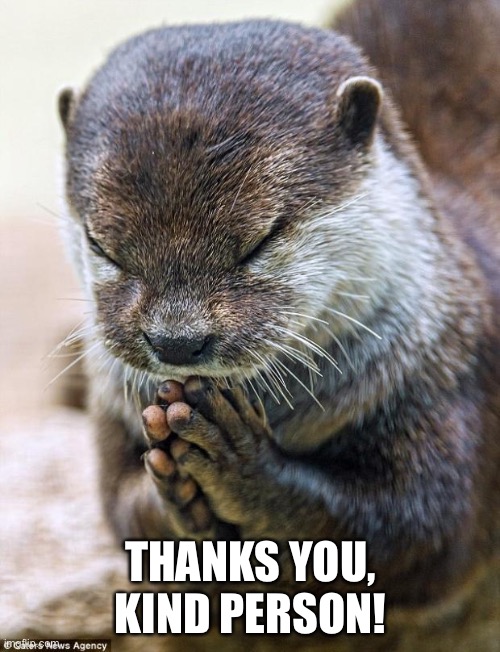 Thank you Lord Otter | THANKS YOU, KIND PERSON! | image tagged in thank you lord otter | made w/ Imgflip meme maker