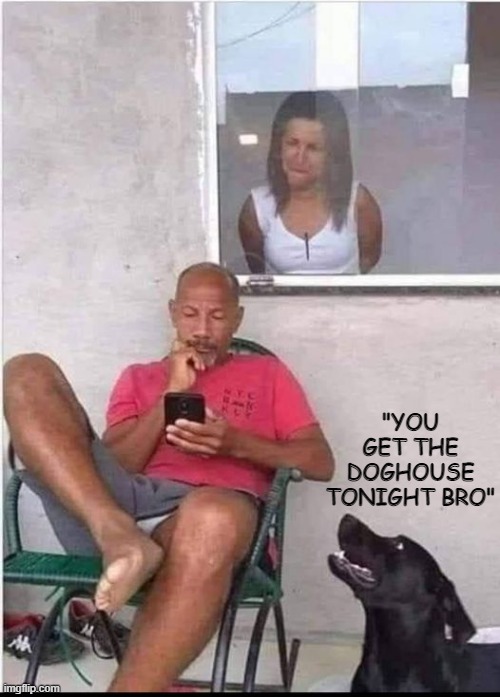 HE'S IN TROUBLE | "YOU GET THE DOGHOUSE TONIGHT BRO" | image tagged in dogs,funny dogs | made w/ Imgflip meme maker