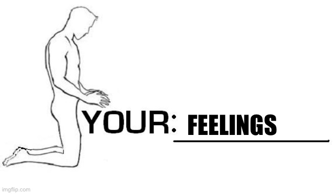 Your feelings | FEELINGS | image tagged in f ck your insert thing to f ck,memes | made w/ Imgflip meme maker