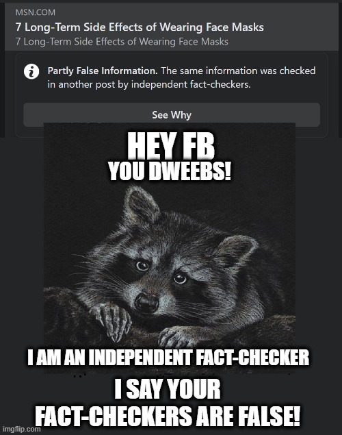 Like I need fb to tell me someone disagrees! | HEY FB; YOU DWEEBS! I AM AN INDEPENDENT FACT-CHECKER; I SAY YOUR FACT-CHECKERS ARE FALSE! | image tagged in censorship,politics,mockingbird media,the great awakening | made w/ Imgflip meme maker