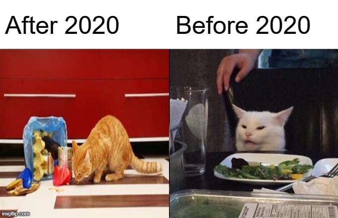 Woman Yelling At Cat | After 2020; Before 2020 | image tagged in memes,cats | made w/ Imgflip meme maker