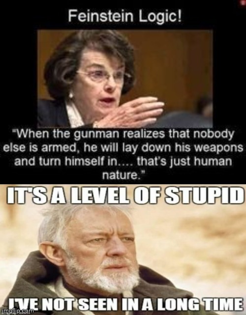 image tagged in gun control,special kind of stupid | made w/ Imgflip meme maker