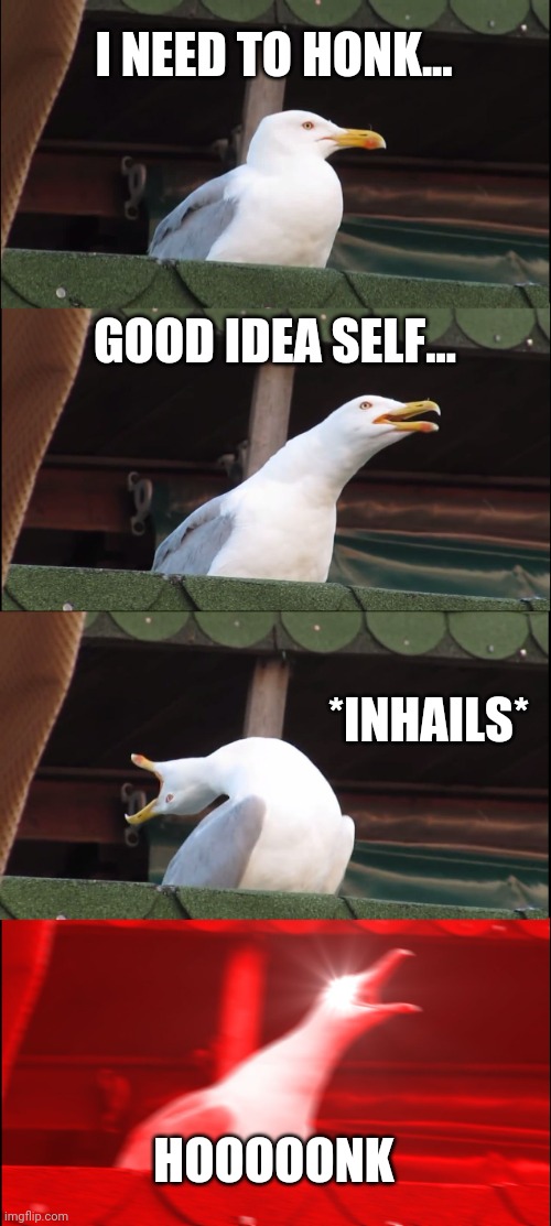 Inhaling Seagull Meme | I NEED TO HONK... GOOD IDEA SELF... *INHAILS*; HOOOOONK | image tagged in memes,inhaling seagull | made w/ Imgflip meme maker
