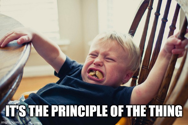 Toddler Tantrum | IT'S THE PRINCIPLE OF THE THING | image tagged in toddler tantrum | made w/ Imgflip meme maker
