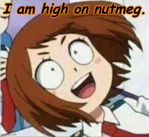I am high on nutmeg. | made w/ Imgflip meme maker