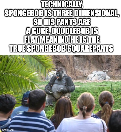 I would make a great teacher | TECHNICALLY, SPONGEBOB IS THREE DIMENSIONAL, SO HIS PANTS ARE A CUBE, DOODLEBOB IS FLAT MEANING HE IS THE TRUE SPONGEBOB SQUAREPANTS | image tagged in blank white template,lecturing gorilla,spongebob,funny,memes | made w/ Imgflip meme maker