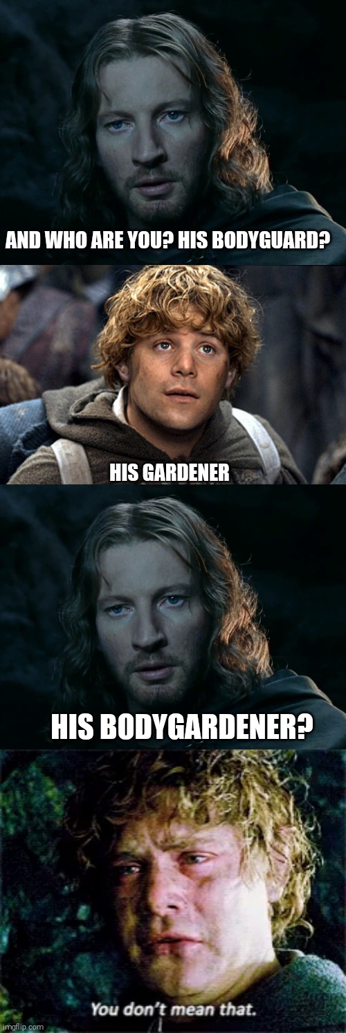 AND WHO ARE YOU? HIS BODYGUARD? HIS GARDENER; HIS BODYGARDENER? | image tagged in faramir,samwise,samwise you don't mean that | made w/ Imgflip meme maker