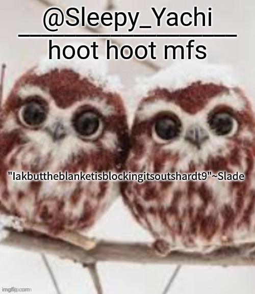 Yachi's owl temp | "Iakbuttheblanketisblockingitsoutshardt9"~Slade | image tagged in yachi's owl temp | made w/ Imgflip meme maker