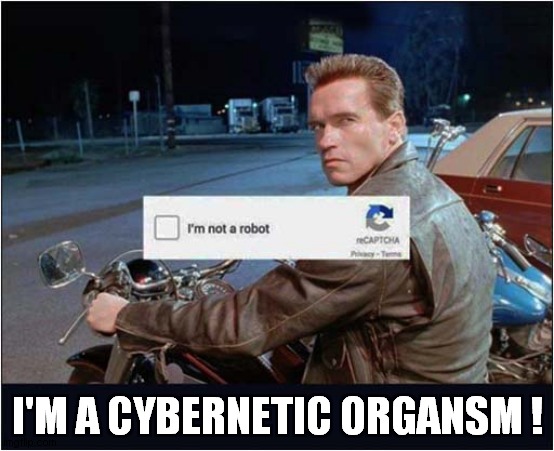 It Can't Be Reasoned With ... | I'M A CYBERNETIC ORGANSM ! | image tagged in terminator,robot,cyborg | made w/ Imgflip meme maker