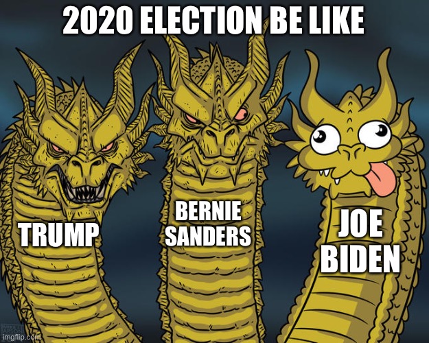 Three-headed Dragon | 2020 ELECTION BE LIKE; BERNIE SANDERS; JOE BIDEN; TRUMP | image tagged in three-headed dragon | made w/ Imgflip meme maker