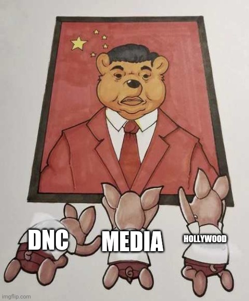 Xi the Poo | DNC; HOLLYWOOD; MEDIA | image tagged in xi the poo | made w/ Imgflip meme maker