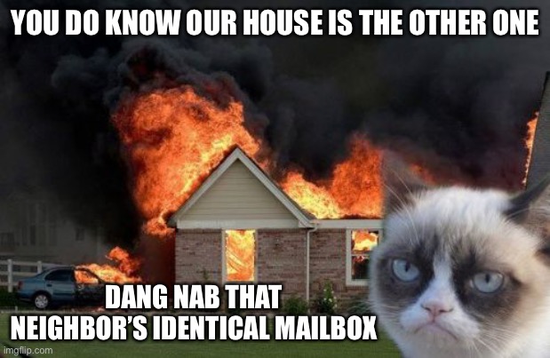 Burn Kitty | YOU DO KNOW OUR HOUSE IS THE OTHER ONE; DANG NAB THAT NEIGHBOR’S IDENTICAL MAILBOX | image tagged in memes,burn kitty,grumpy cat | made w/ Imgflip meme maker