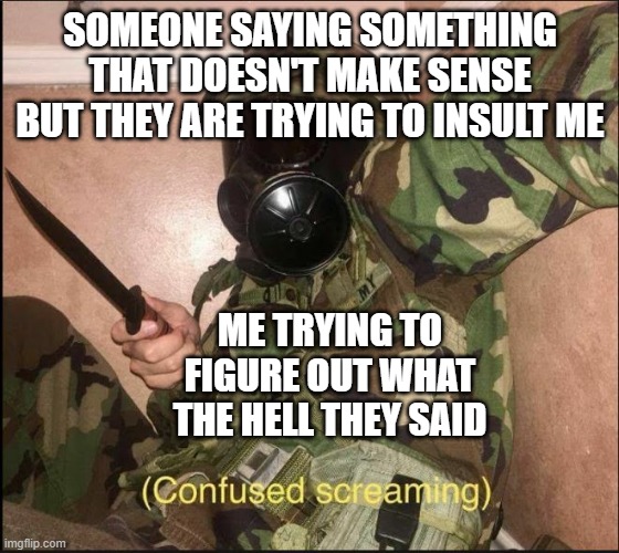 another thing that happens to me alot | SOMEONE SAYING SOMETHING THAT DOESN'T MAKE SENSE BUT THEY ARE TRYING TO INSULT ME; ME TRYING TO FIGURE OUT WHAT THE HELL THEY SAID | image tagged in confused screaming but with gas mask | made w/ Imgflip meme maker