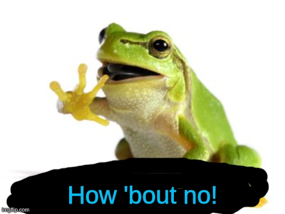 How 'bout no frog | How 'bout no! | image tagged in how 'bout no frog | made w/ Imgflip meme maker