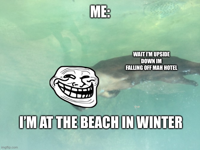 I made this just now by myself ??? | ME:; WAIT I’M UPSIDE DOWN IM FALLING OFF MAH HOTEL; I’M AT THE BEACH IN WINTER | image tagged in chill-out otter | made w/ Imgflip meme maker