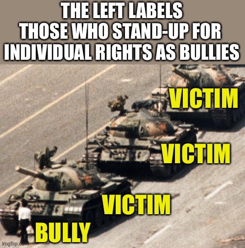 Was Rosa Parks a Bully, Too? | THE LEFT LABELS THOSE WHO STAND-UP FOR 
INDIVIDUAL RIGHTS AS BULLIES; VICTIM; VICTIM; VICTIM; BULLY | image tagged in rights,second amendment,bullies,left,gun control,civil rights | made w/ Imgflip meme maker