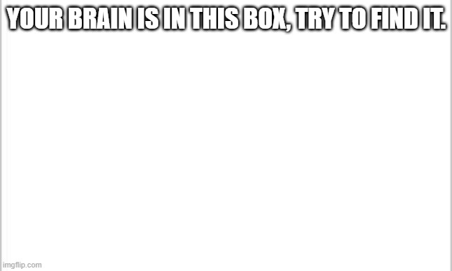 white background | YOUR BRAIN IS IN THIS BOX, TRY TO FIND IT. | image tagged in white background | made w/ Imgflip meme maker