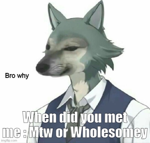 Mtw stands for MemeTheWholesome. | When did you met me : Mtw or Wholesomey | image tagged in bro why | made w/ Imgflip meme maker