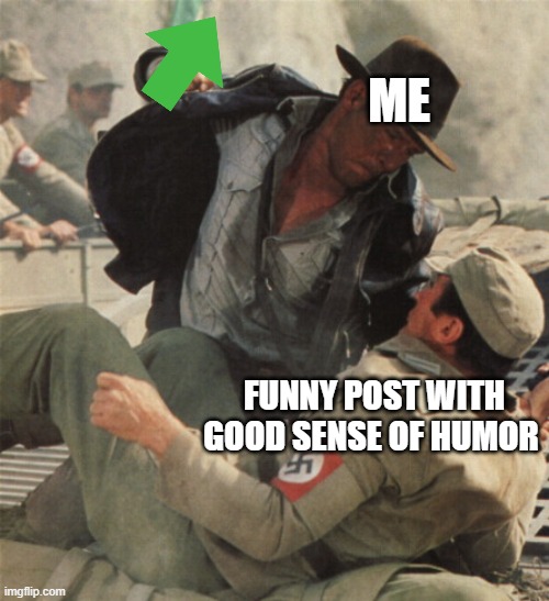 Indiana Jones Punching Nazis | ME; FUNNY POST WITH GOOD SENSE OF HUMOR | image tagged in indiana jones punching nazis | made w/ Imgflip meme maker