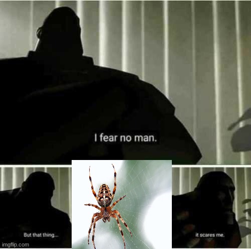 I fear no man | image tagged in i fear no man,spider,scary | made w/ Imgflip meme maker