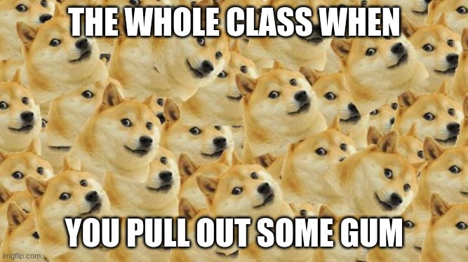 yeah pretty true | THE WHOLE CLASS WHEN; YOU PULL OUT SOME GUM | image tagged in relatable,dank memes | made w/ Imgflip meme maker