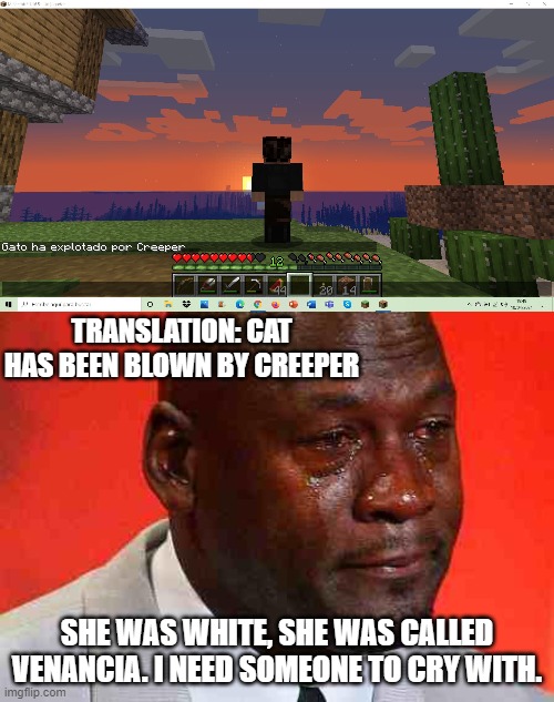 My cat died :( |  TRANSLATION: CAT HAS BEEN BLOWN BY CREEPER; SHE WAS WHITE, SHE WAS CALLED VENANCIA. I NEED SOMEONE TO CRY WITH. | image tagged in crying michael jordan,minecraft,minecraft creeper,cat | made w/ Imgflip meme maker