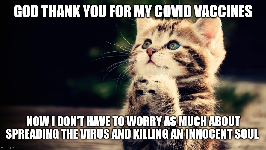 Thank God | GOD THANK YOU FOR MY COVID VACCINES; NOW I DON'T HAVE TO WORRY AS MUCH ABOUT SPREADING THE VIRUS AND KILLING AN INNOCENT SOUL | image tagged in praying cat,cats,covid 19,vaccines,thank god,pray | made w/ Imgflip meme maker